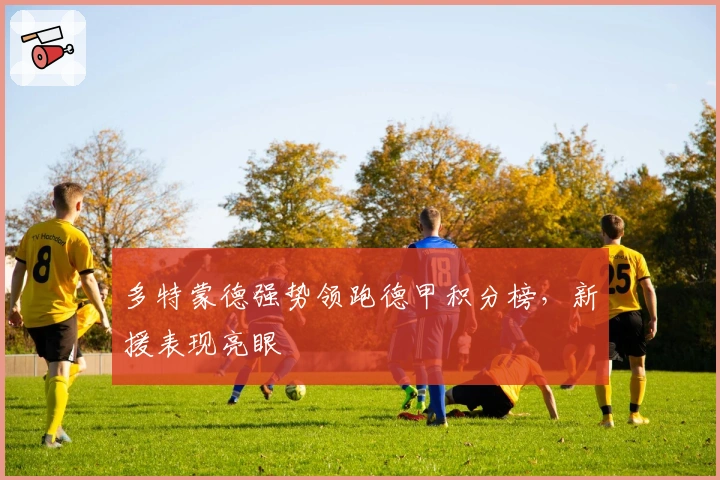 多特蒙德强势领跑德甲积分榜,新援表现亮眼